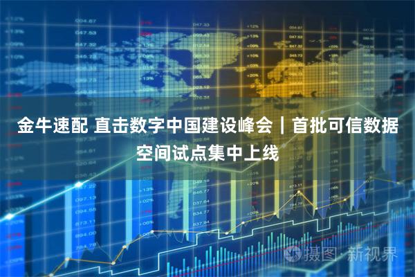 金牛速配 直击数字中国建设峰会｜首批可信数据空间试点集中上线