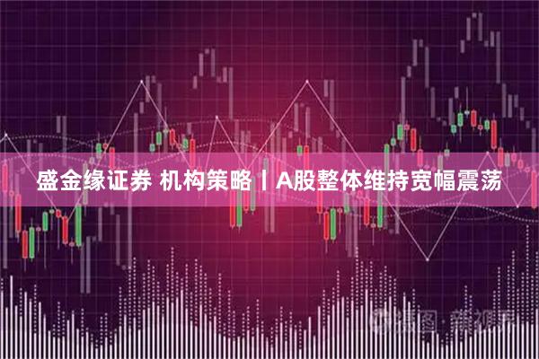 盛金缘证券 机构策略丨A股整体维持宽幅震荡
